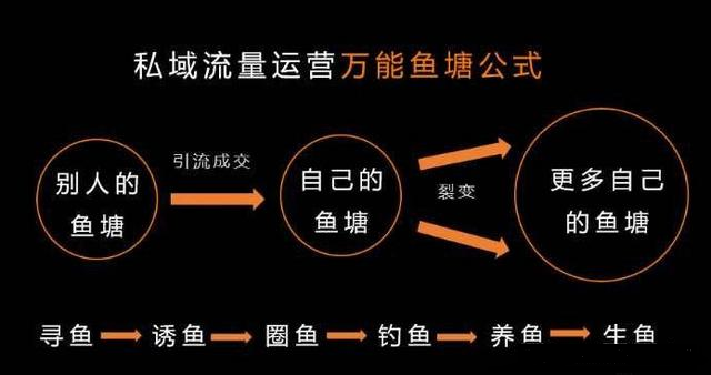 营销进化之路——私域流量运营!